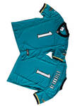 美洲虎1号果绿复古传奇三代–Men_s Jacksonville Jaguars Travis Etienne Nike_yyt