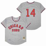 Ernie Banks Chicago Cubs Jersey 1957 Cooperstown Collection Mitchell & Ness men women youth size S-6XL