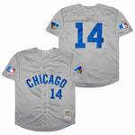 Ernie Banks Chicago Cubs Jersey 1969 Cooperstown Collection Mitchell & Ness men women youth size S-6XL