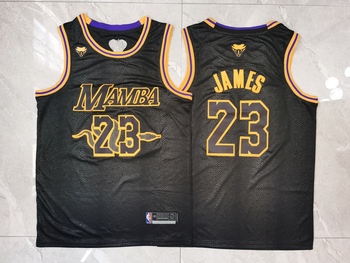Los Angeles Lakers  #23 LeBron James stitched basketball jersey Python version MEN WOMEN YOUTH S-6XL SIZE