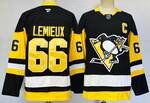 Pittsburgh Penguins #66 Mario Lemieux stitched hockey jersey MEN WOMEN YOUTH S-6XL SIZE
