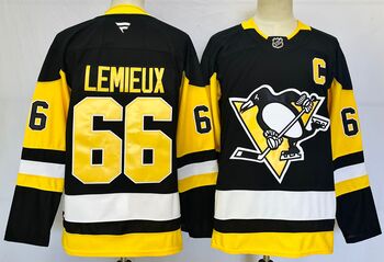 Pittsburgh Penguins #66 Mario Lemieux stitched hockey jersey MEN WOMEN YOUTH S-6XL SIZE