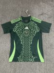 2025 Algeria away Custom name and number