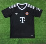 24-25 Bayern goalkeeper Custom name and number