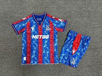Children's wear 24-25 Crystal Palace home customize name and number