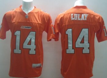 Custom CFL BC Lions #14 Travis Lulay Orange Jersey men women youth S-6XL size