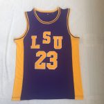 Louis 23 purple embroidered jersey