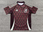 2024 Mexican Home