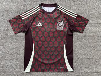 2024 Mexican Home