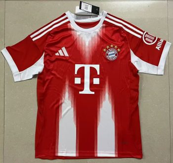 Bayern Munich 25-26 home court