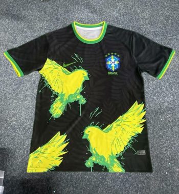 Brazilian black bird