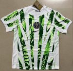 Nigeria 2025 home