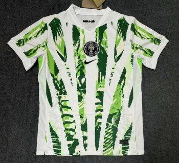 Nigeria 2025 home