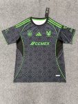 Tigers 25-26 away, grey