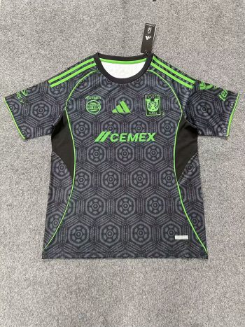 Tigers 25-26 away, grey