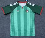 2026 Algeria Green Striped World Cup soccer jersey customize any name any number