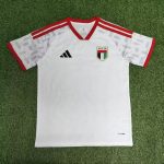2026 United Arab Emirates White World Cup soccer jersey customize any name any number (2)