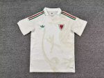2026 Wales White with Dragon Pattern World Cup soccer jersey customize any name any number
