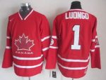 Vintage Team Canada #1 Roberto Luongo Stitched Red Hockey Jersey Throwback Edition